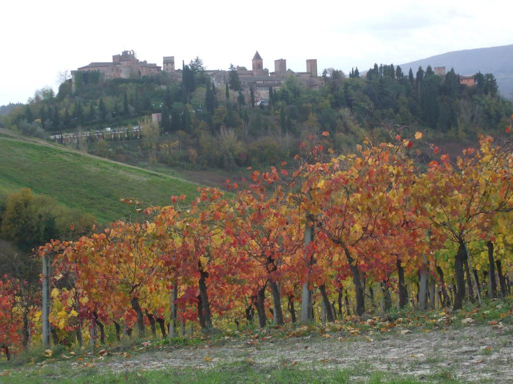 Willa Agriturismo Il Torrione Certaldo Zewnętrze zdjęcie