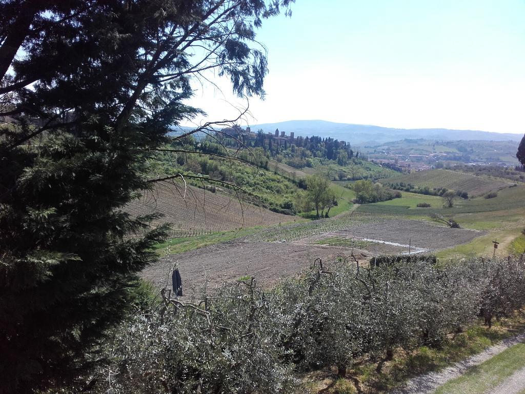 Willa Agriturismo Il Torrione Certaldo Zewnętrze zdjęcie