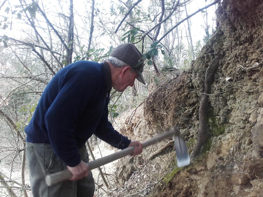 Willa Agriturismo Il Torrione Certaldo Zewnętrze zdjęcie