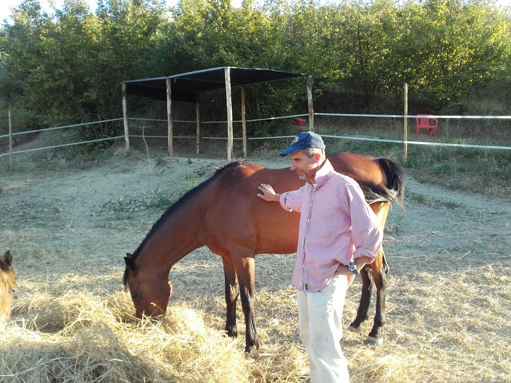 Willa Agriturismo Il Torrione Certaldo Zewnętrze zdjęcie