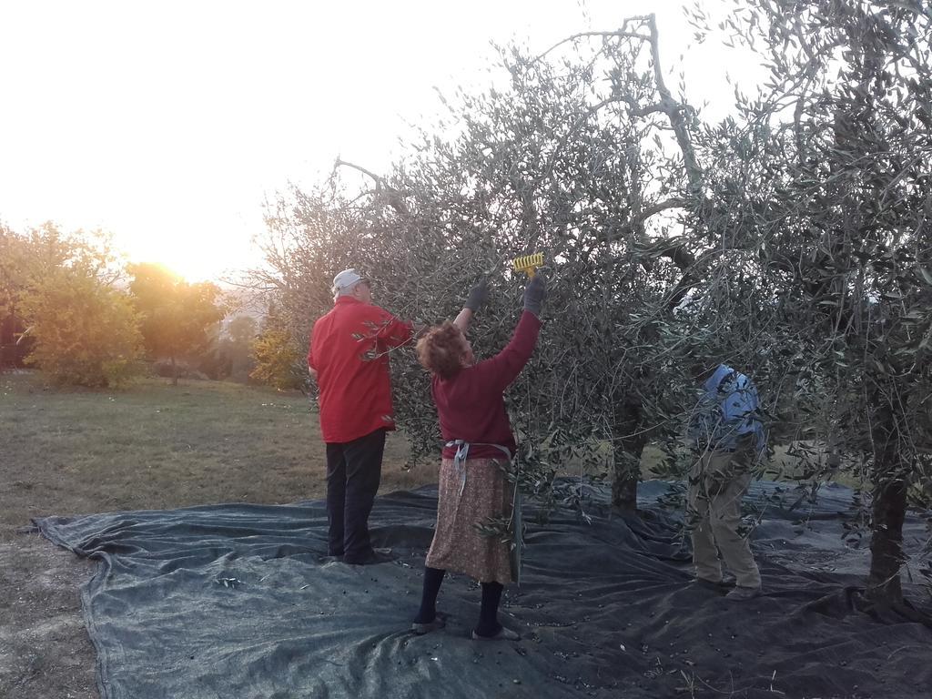 Willa Agriturismo Il Torrione Certaldo Zewnętrze zdjęcie