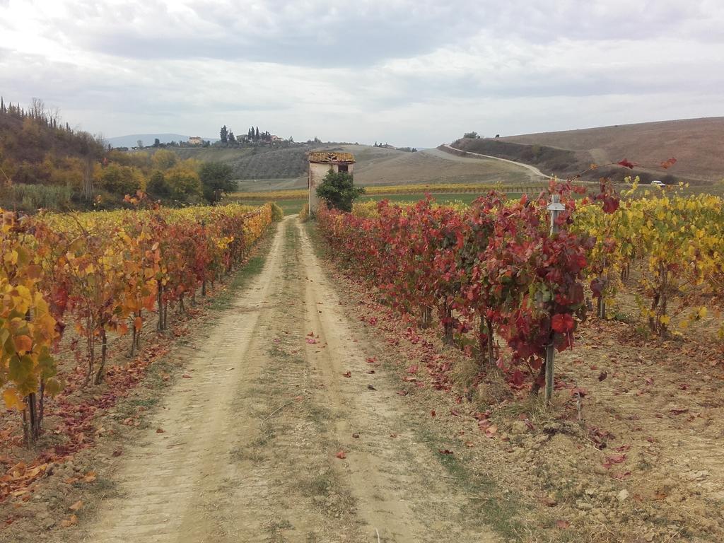 Willa Agriturismo Il Torrione Certaldo Zewnętrze zdjęcie