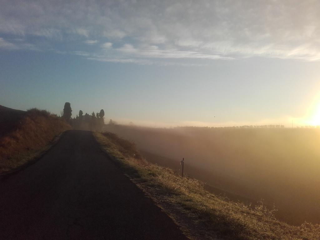 Willa Agriturismo Il Torrione Certaldo Zewnętrze zdjęcie