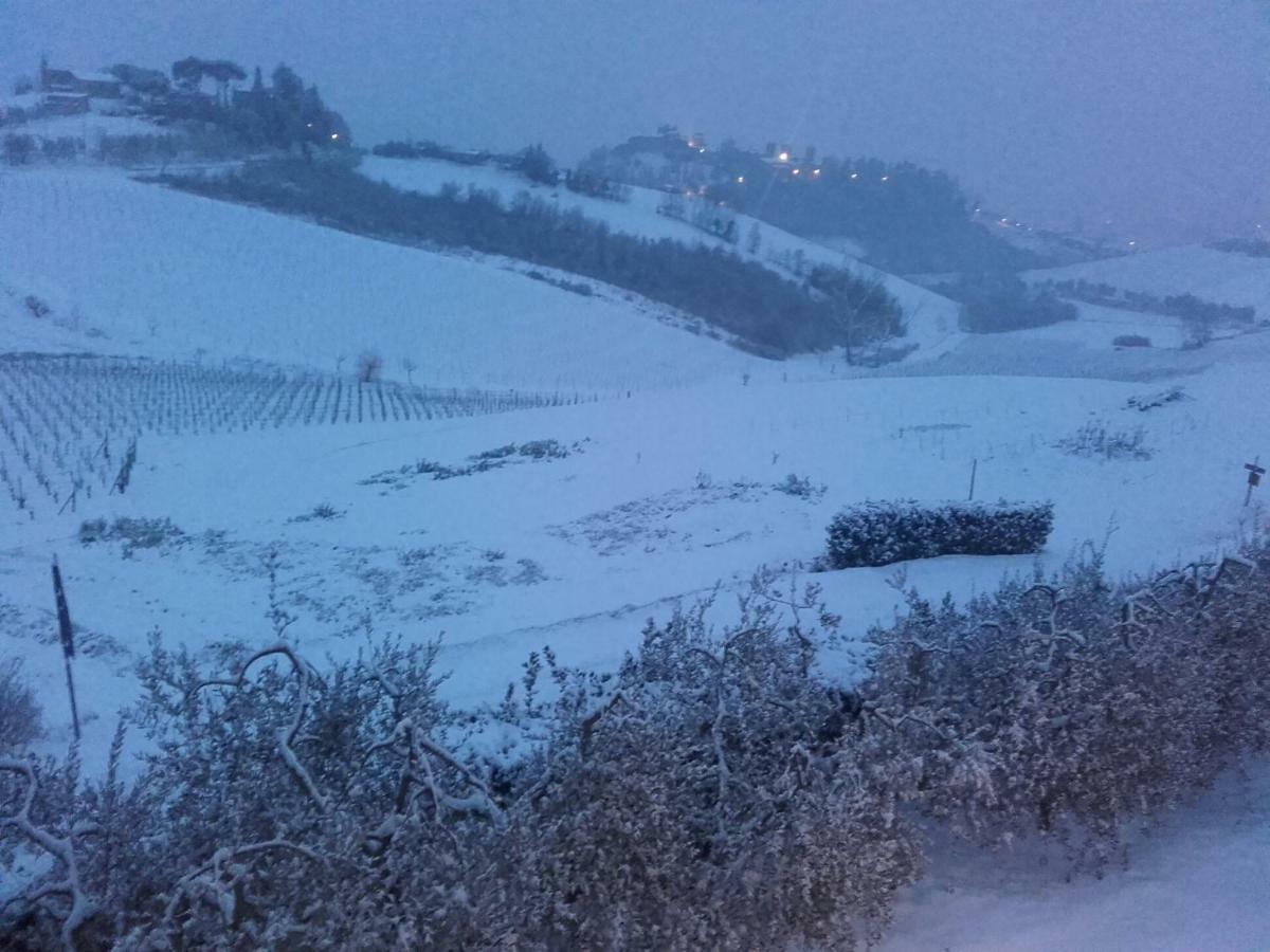 Willa Agriturismo Il Torrione Certaldo Zewnętrze zdjęcie