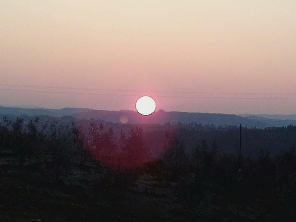 Willa Agriturismo Il Torrione Certaldo Zewnętrze zdjęcie