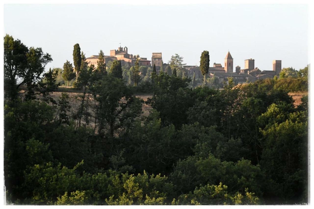 Willa Agriturismo Il Torrione Certaldo Zewnętrze zdjęcie